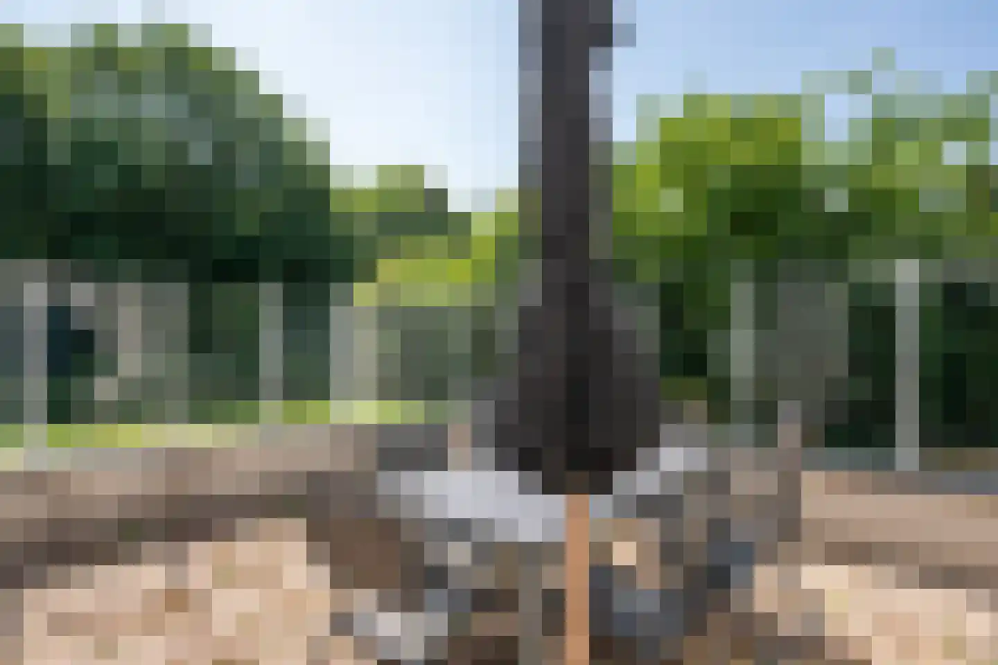 Roggeslootweg 782 De Cocksdorp thumbnail 64