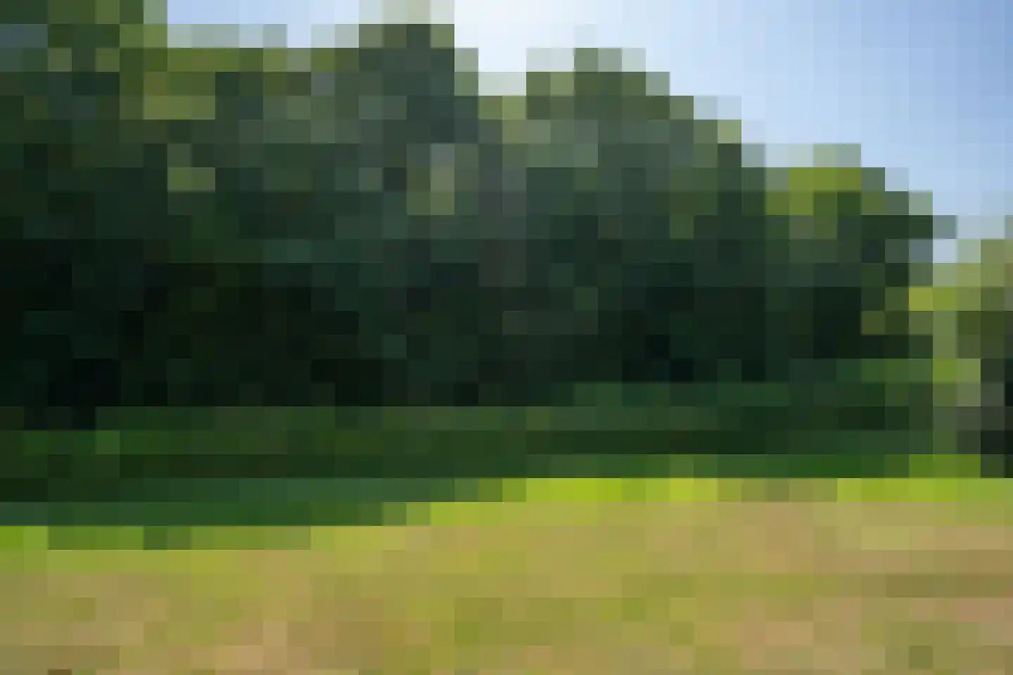 Roggeslootweg 782 De Cocksdorp thumbnail 66