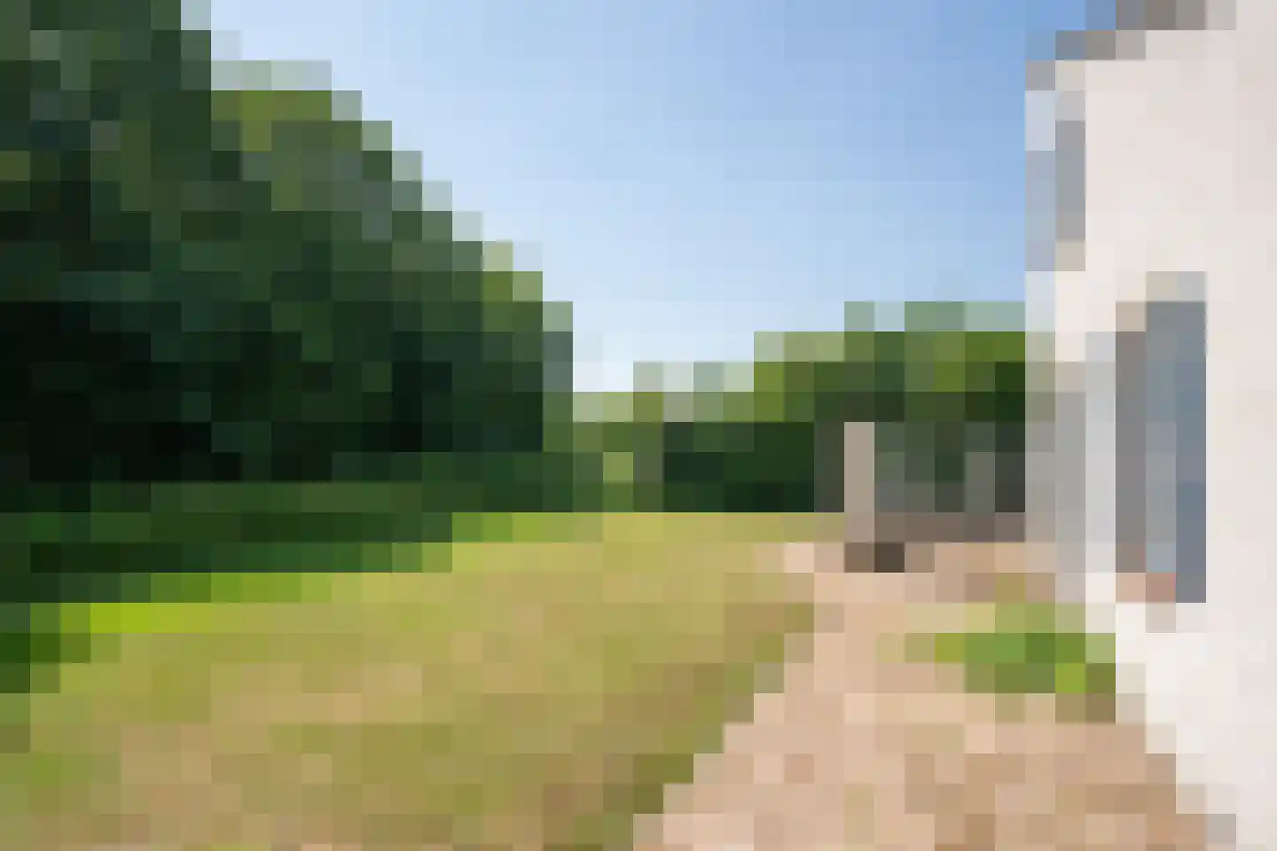 Roggeslootweg 782 De Cocksdorp thumbnail 67
