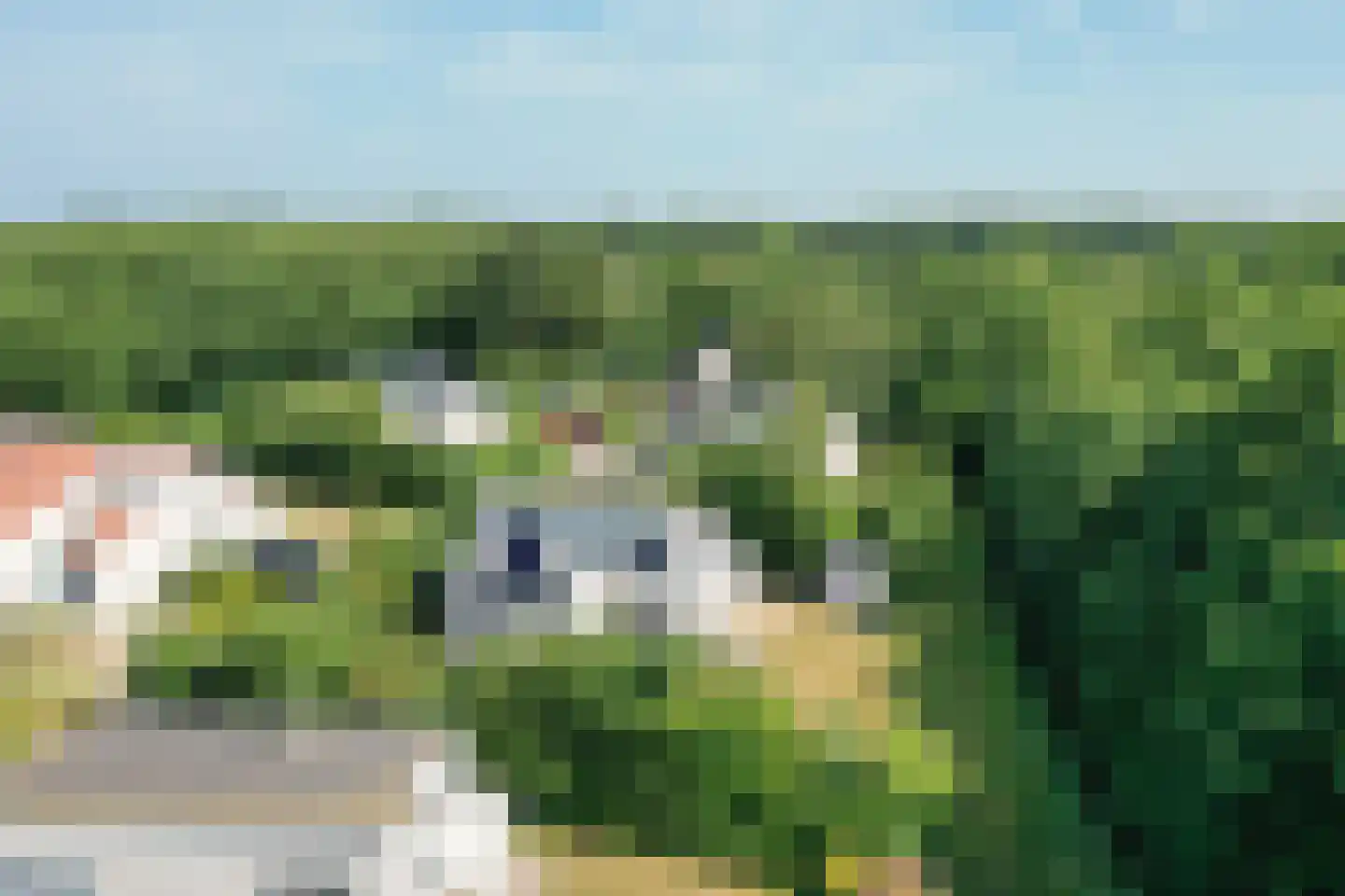 Roggeslootweg 782 De Cocksdorp thumbnail 84