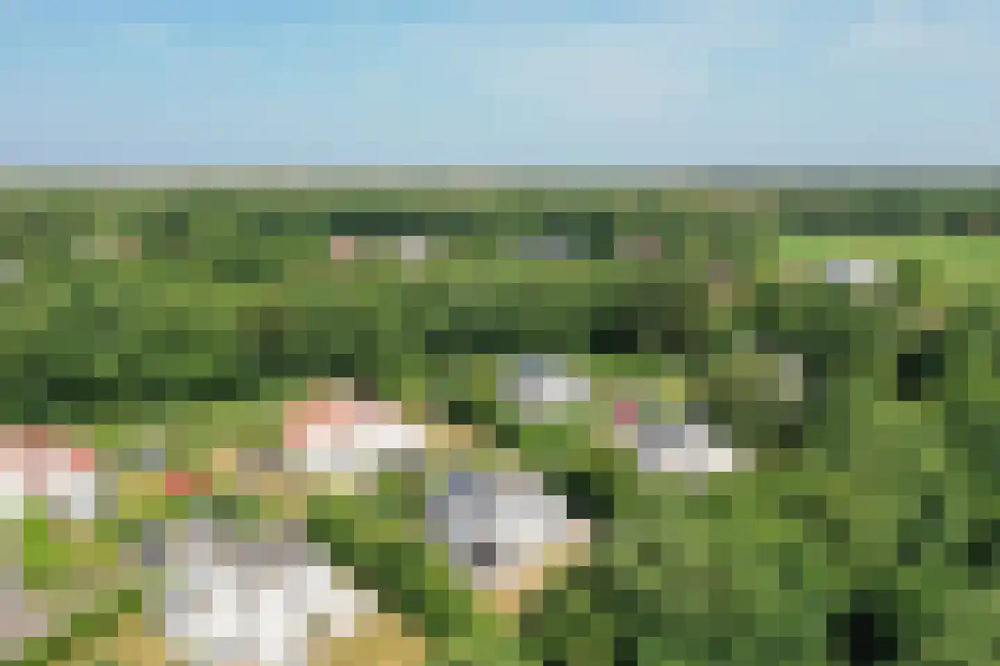 Roggeslootweg 782 De Cocksdorp thumbnail 85