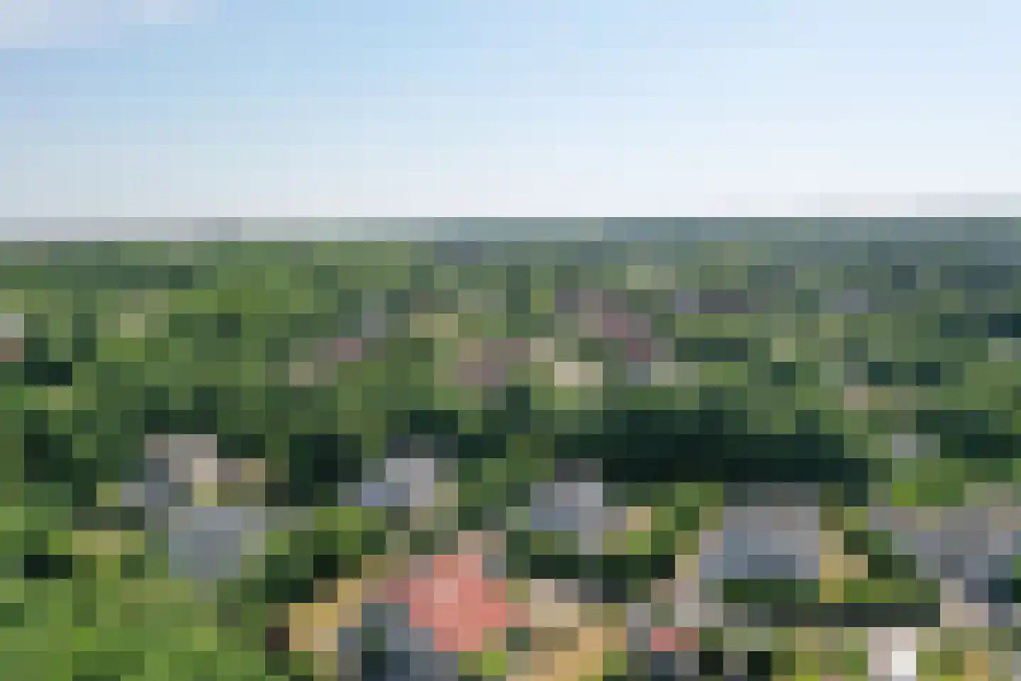 Roggeslootweg 782 De Cocksdorp thumbnail 87