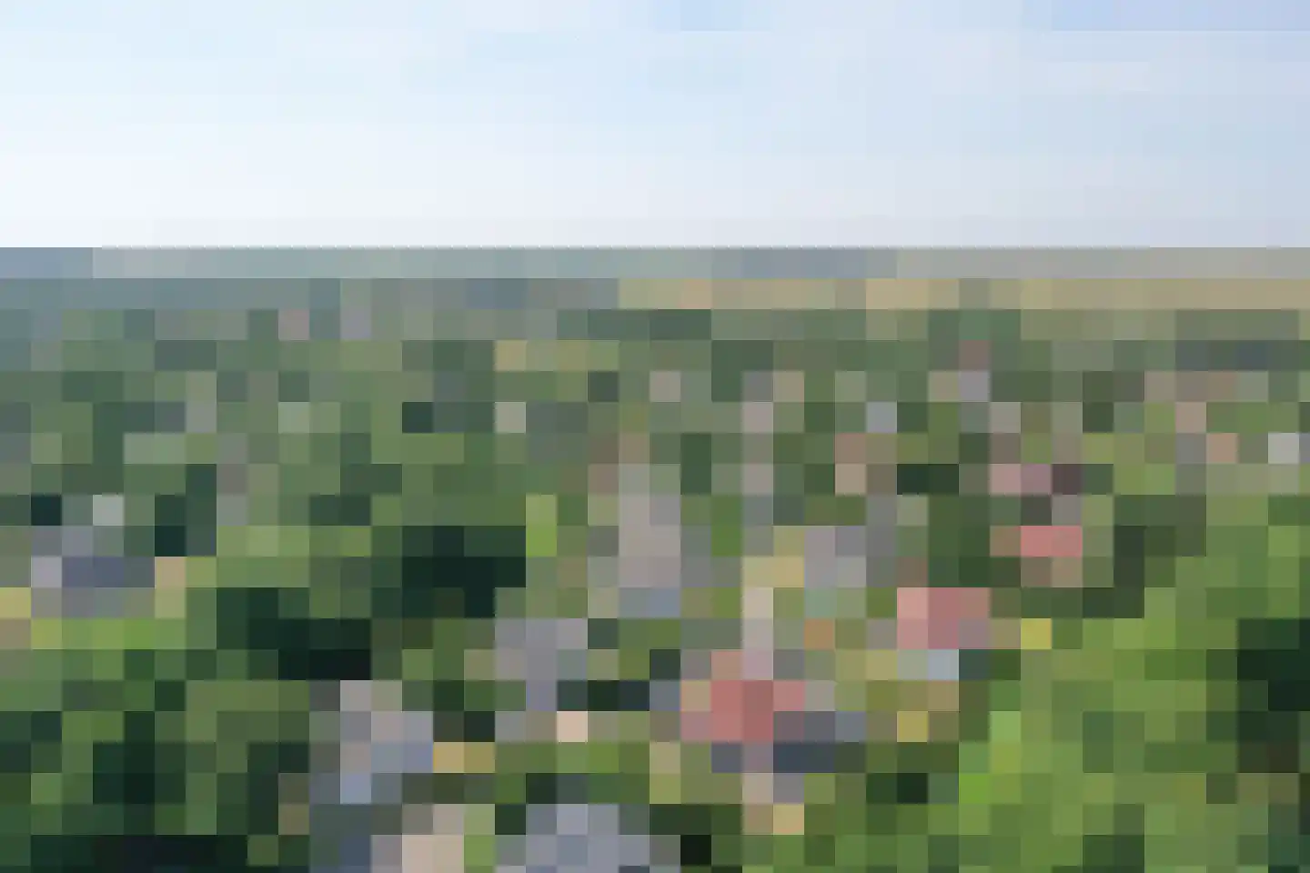 Roggeslootweg 782 De Cocksdorp thumbnail 88