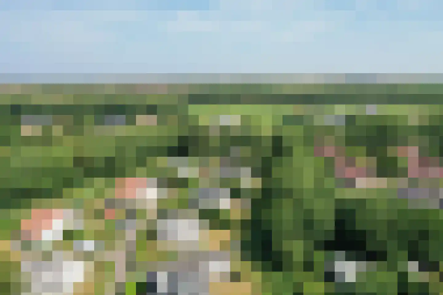 Roggeslootweg 782 De Cocksdorp thumbnail 89