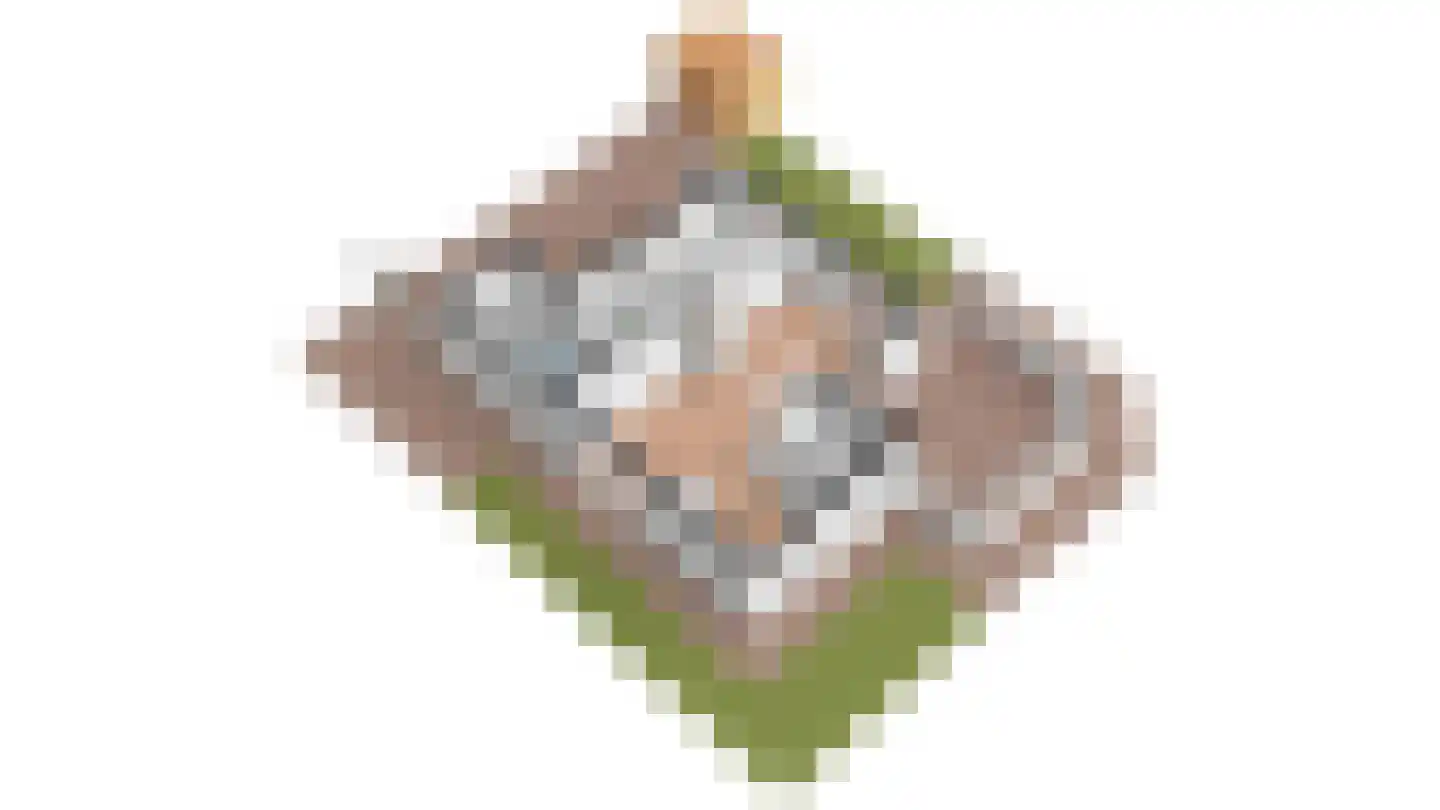Roggeslootweg 782 De Cocksdorp thumbnail 91
