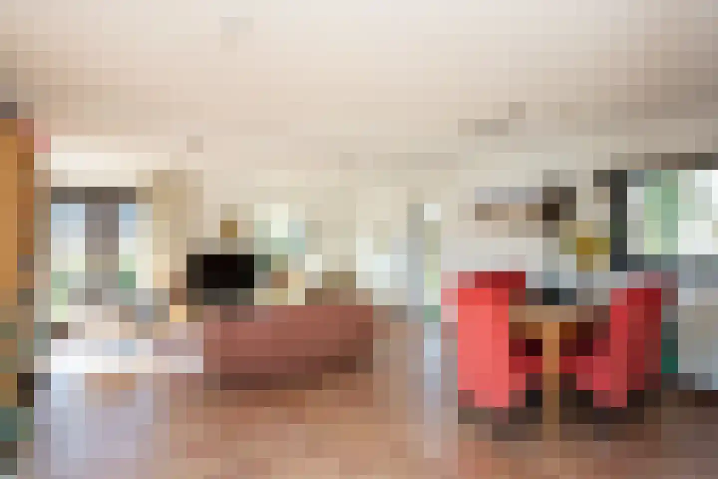 Roggeslootweg 9 De Cocksdorp thumbnail 10