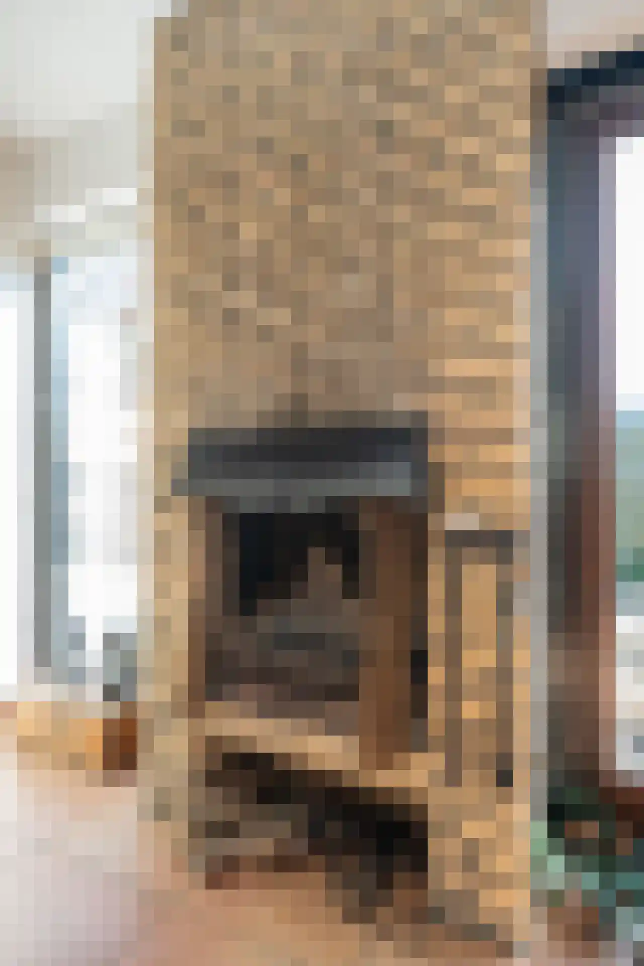 Roggeslootweg 9 De Cocksdorp thumbnail 19