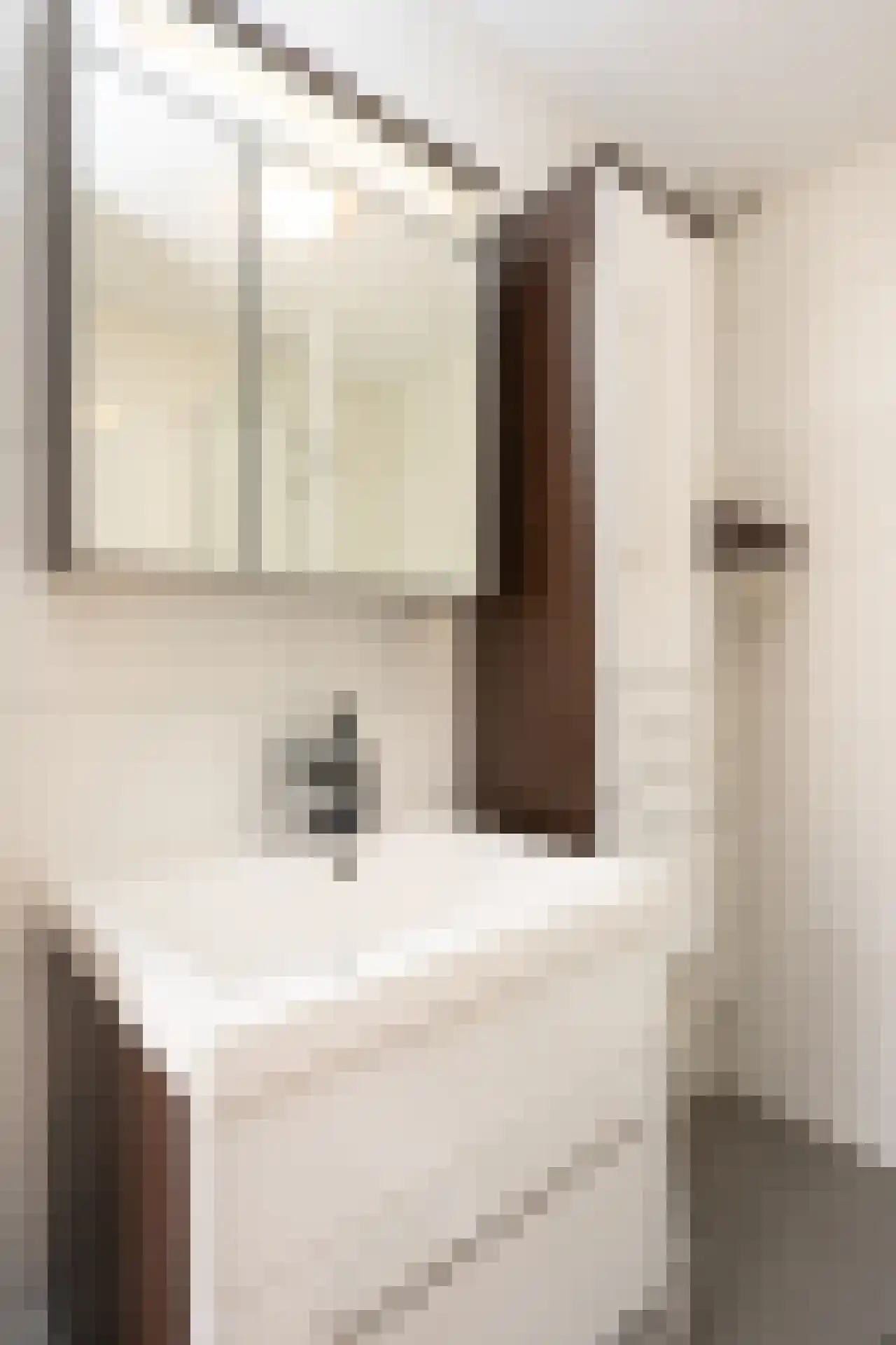 Roggeslootweg 9 De Cocksdorp thumbnail 31