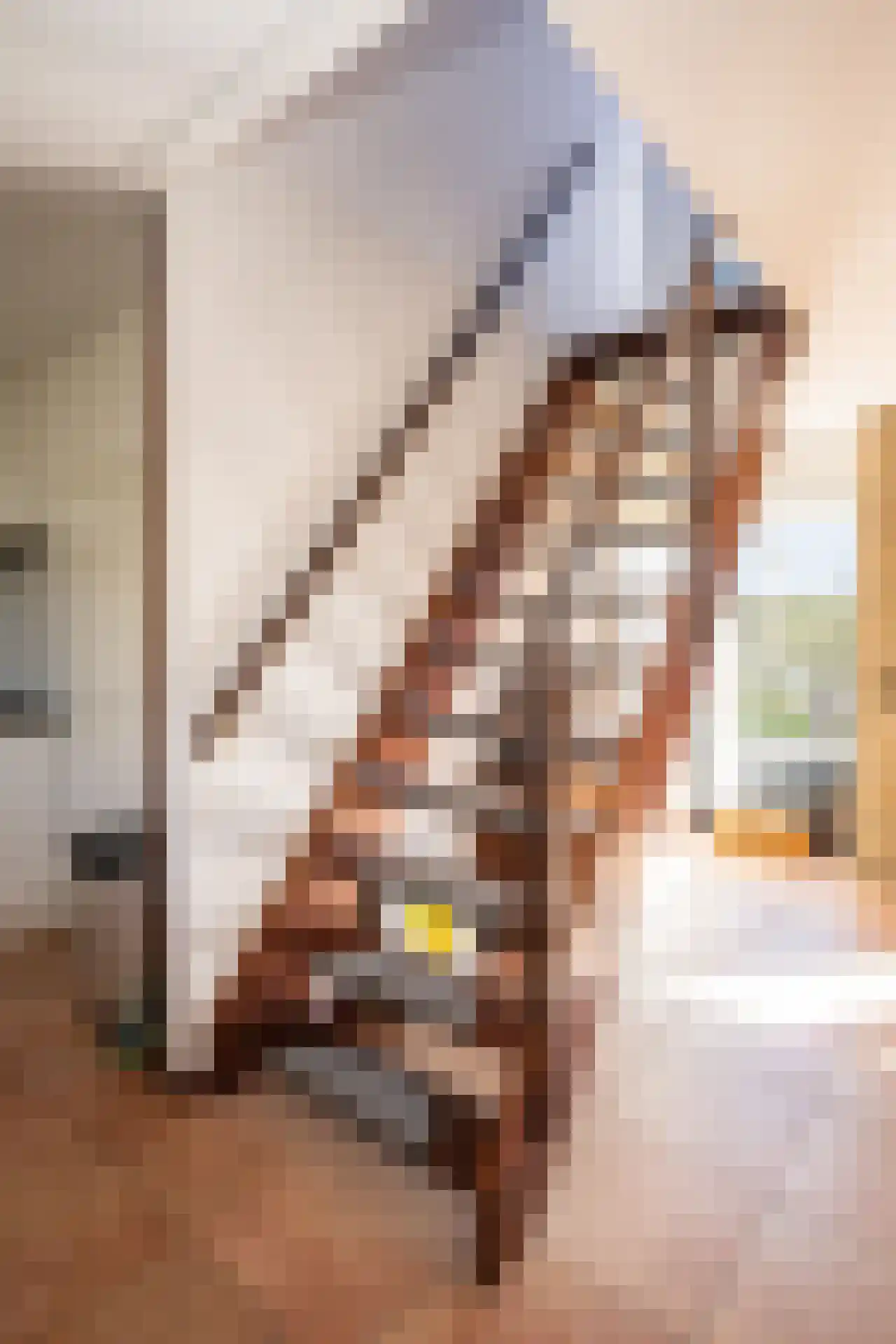Roggeslootweg 9 De Cocksdorp thumbnail 33