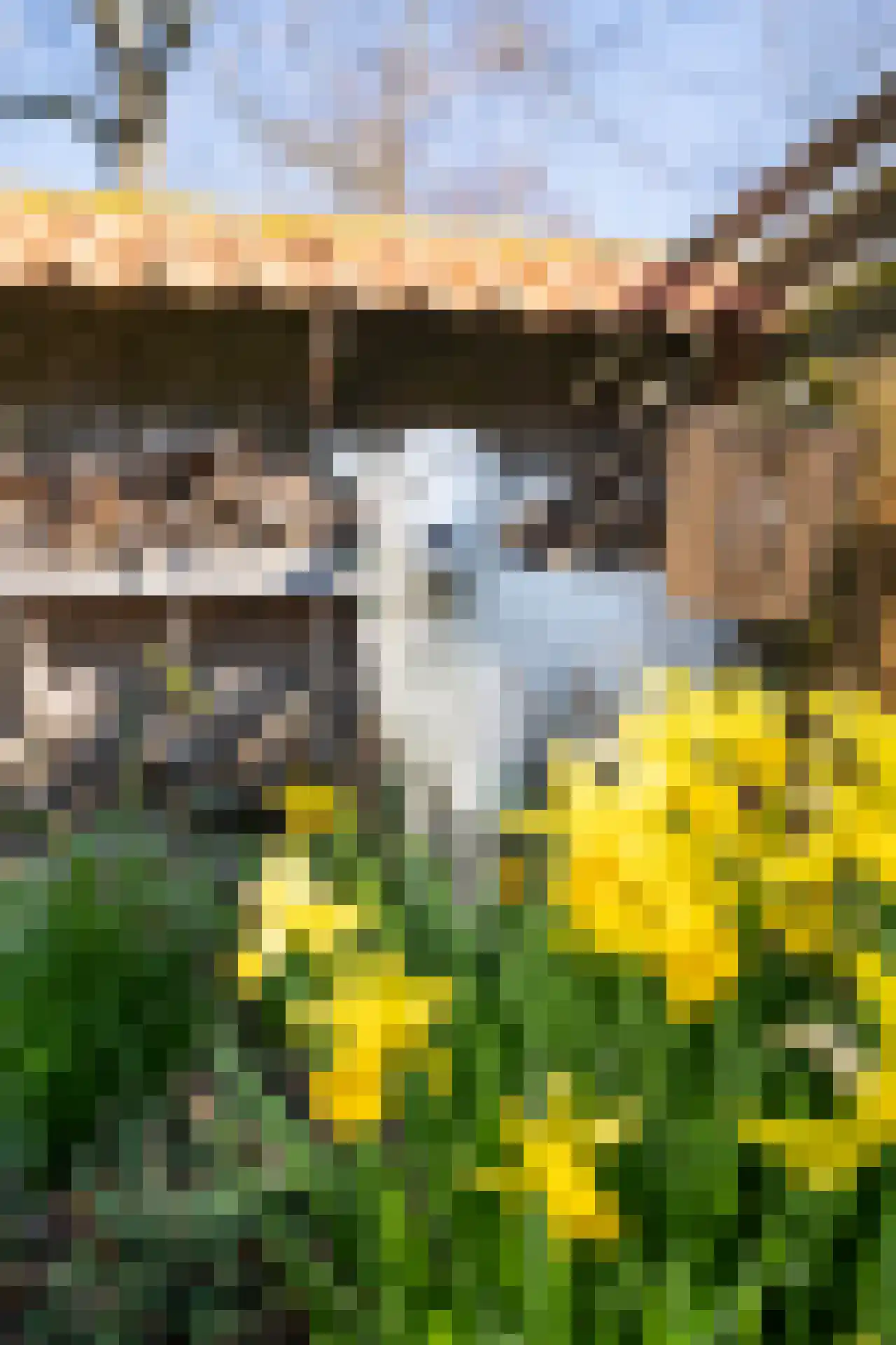 Roggeslootweg 9 De Cocksdorp thumbnail 55