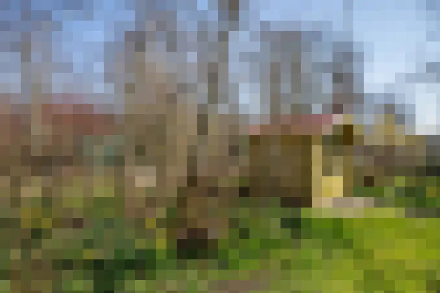 Roggeslootweg 9 De Cocksdorp thumbnail 57
