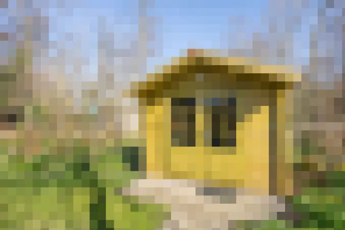Roggeslootweg 9 De Cocksdorp thumbnail 58