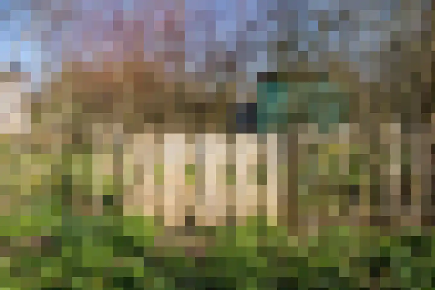 Roggeslootweg 9 De Cocksdorp thumbnail 59