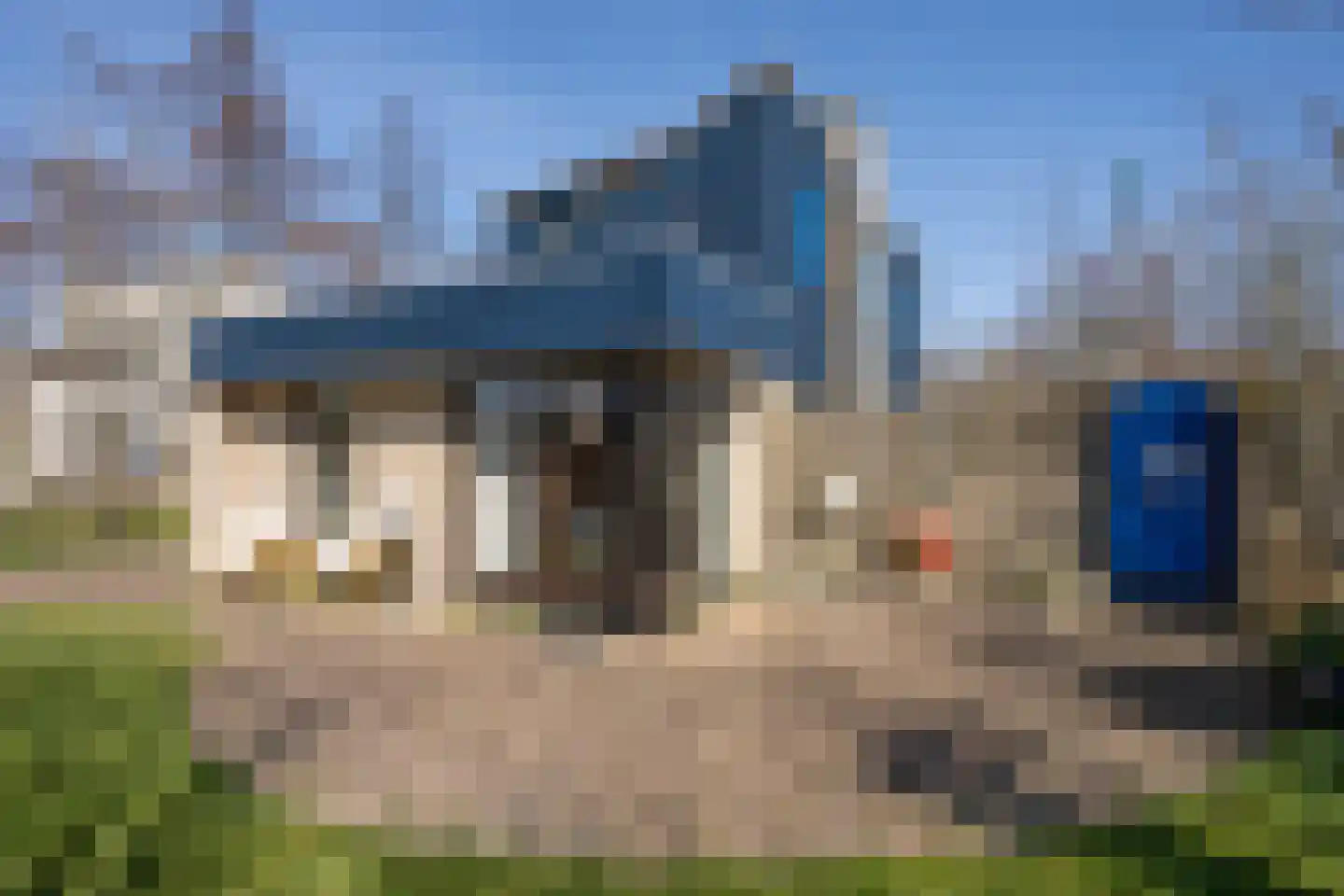 Roggeslootweg 9 De Cocksdorp thumbnail 6