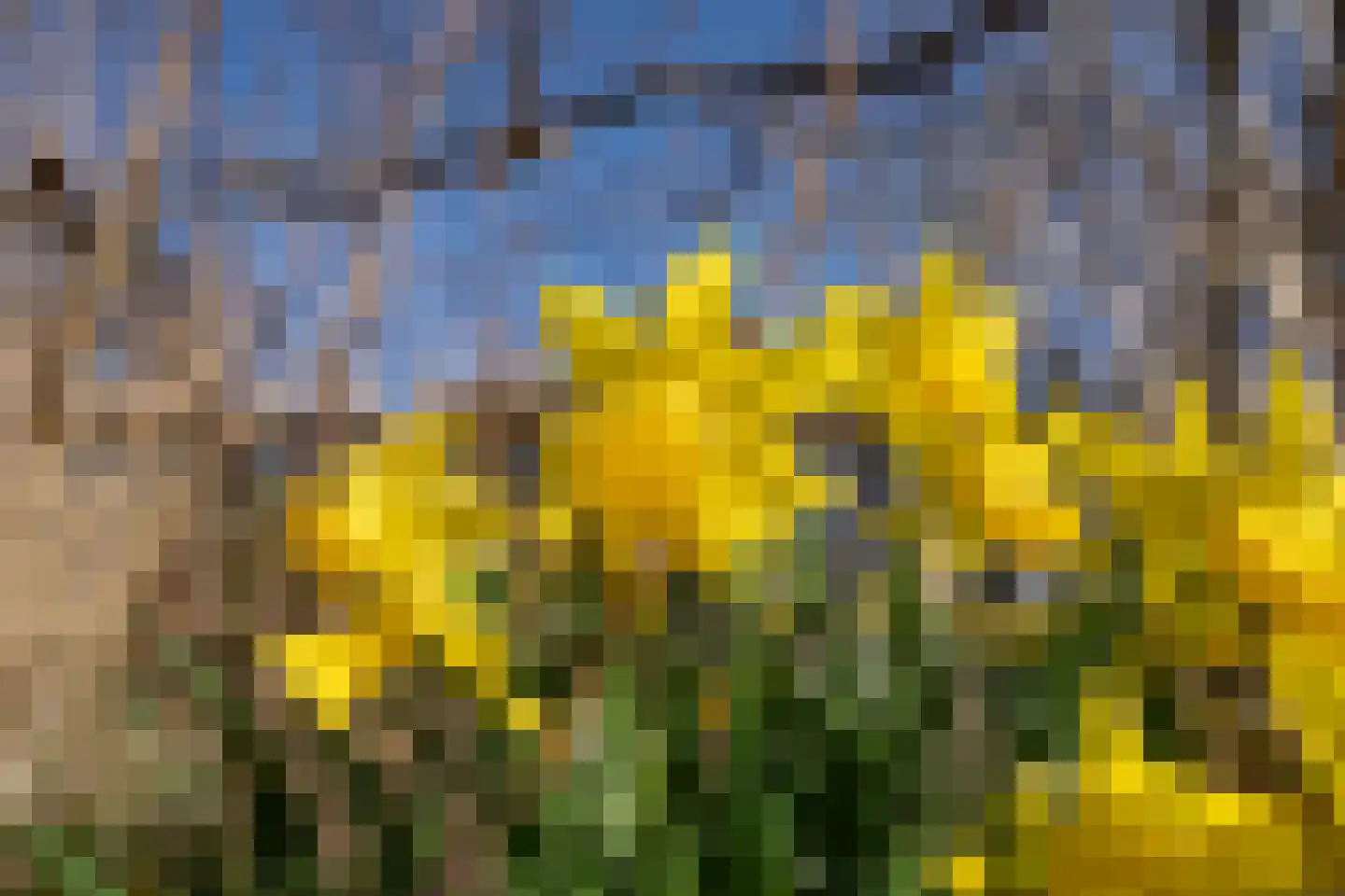 Roggeslootweg 9 De Cocksdorp thumbnail 60