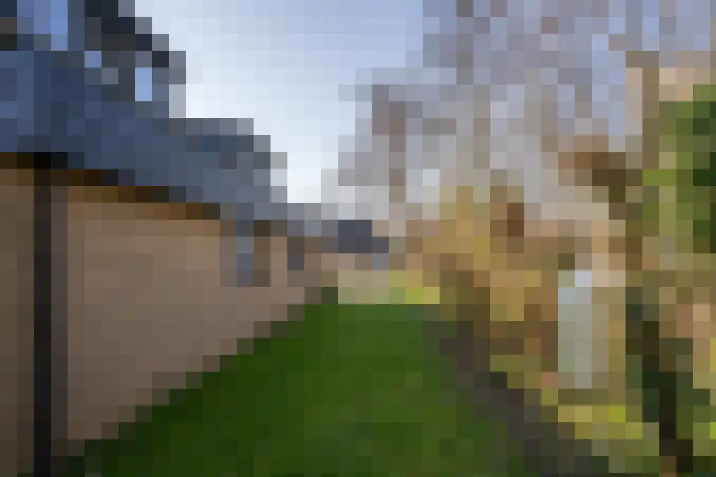 Roggeslootweg 9 De Cocksdorp thumbnail 62