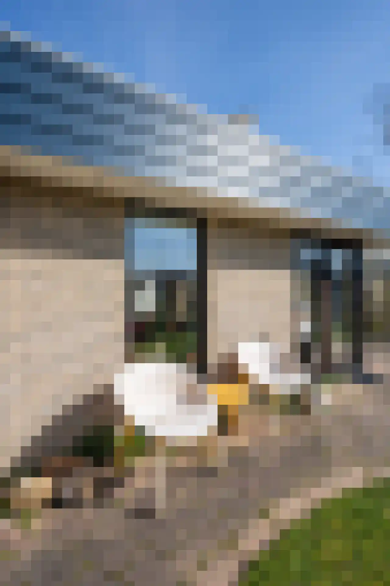 Roggeslootweg 9 De Cocksdorp thumbnail 65
