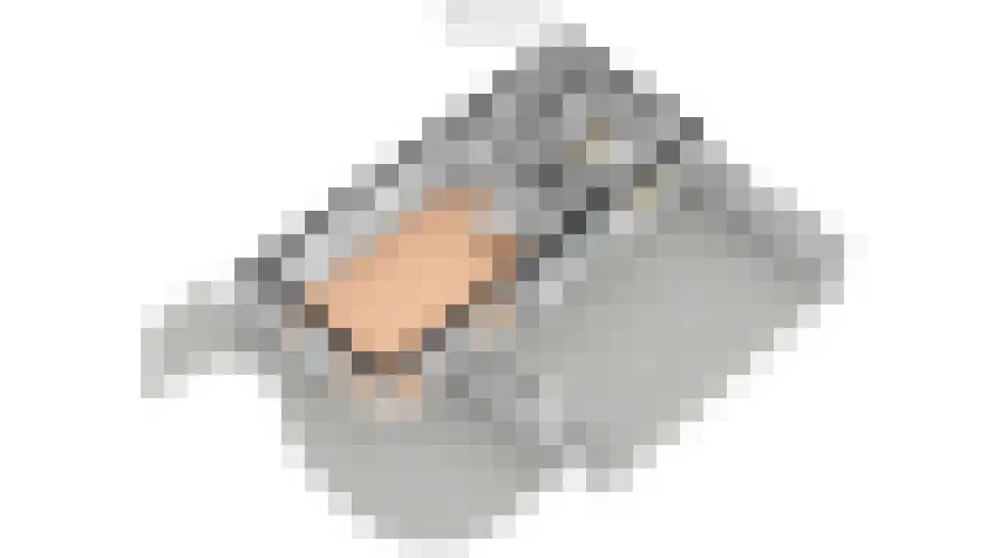 Roggeslootweg 9 De Cocksdorp thumbnail 71