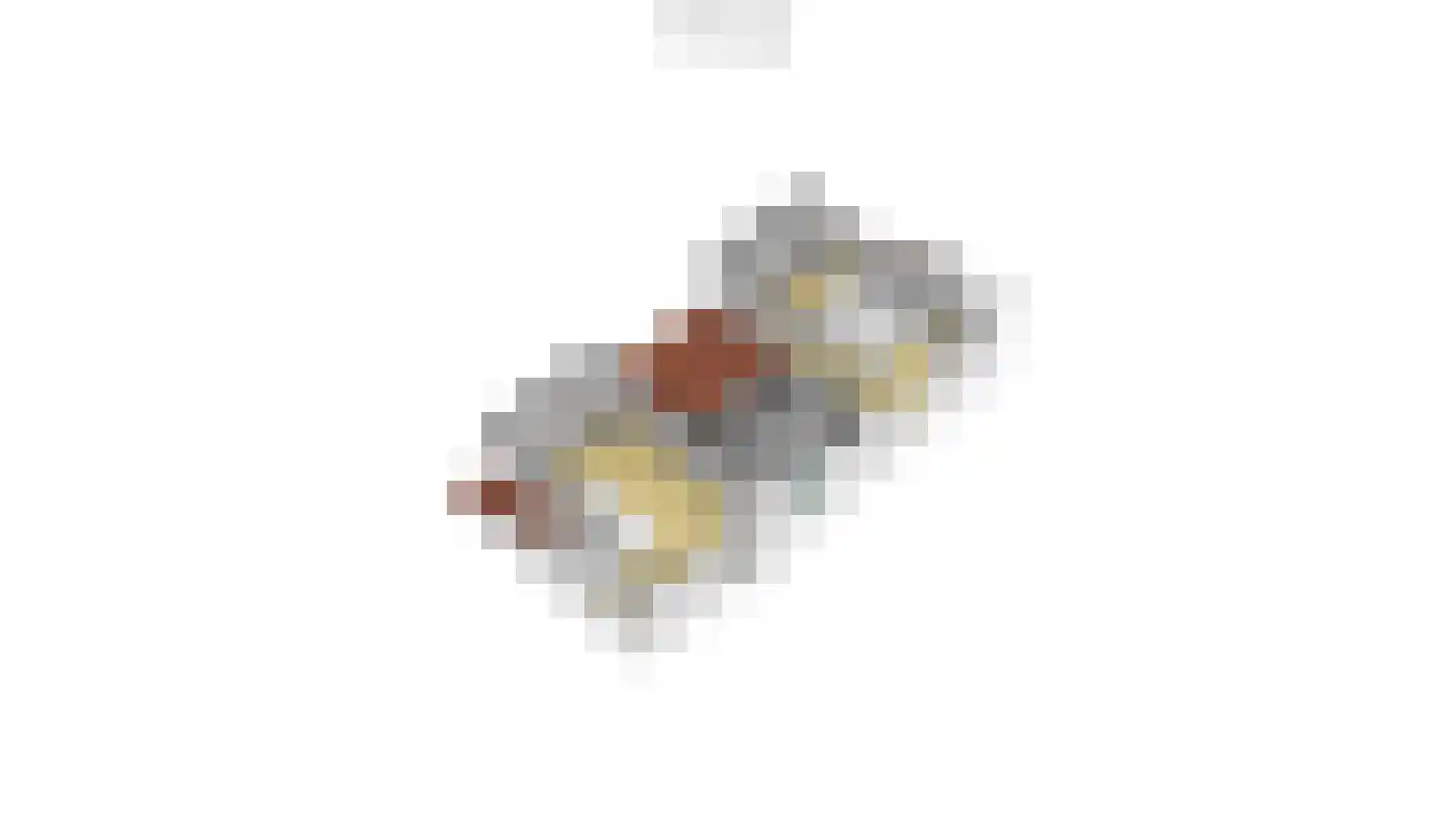 Roggeslootweg 9 De Cocksdorp thumbnail 73