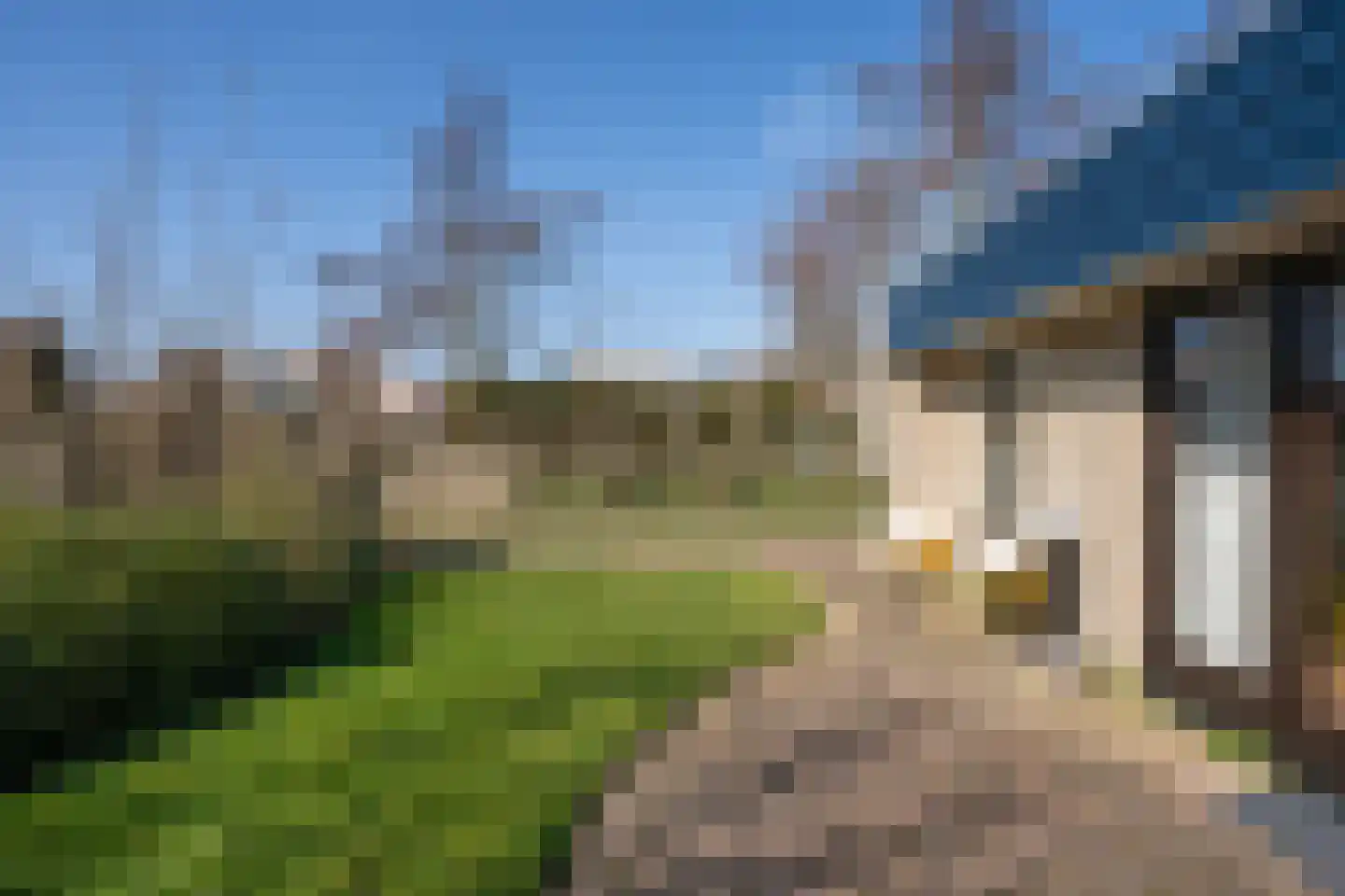 Roggeslootweg 9 De Cocksdorp thumbnail 8