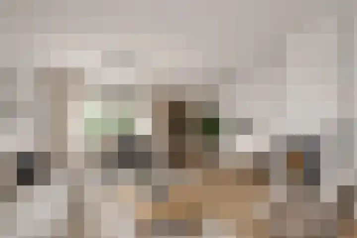 Roggestraat 13 Bruinisse thumbnail 14