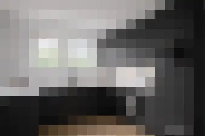 Roggestraat 13 Bruinisse thumbnail 17