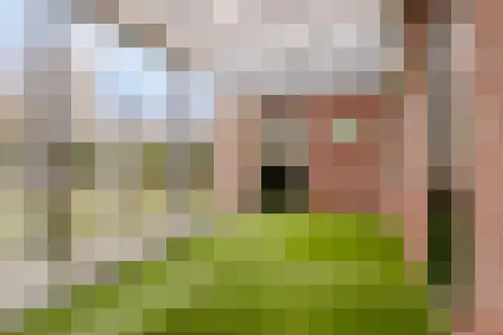 Roggestraat 13 Bruinisse thumbnail 21
