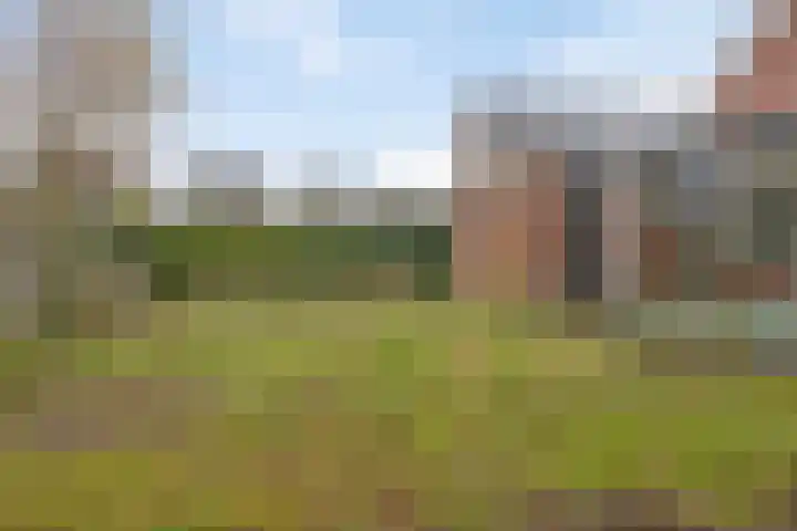 Roggestraat 13 Bruinisse thumbnail 43