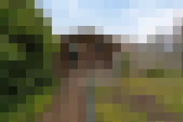 Roggestraat 13 Bruinisse thumbnail 45
