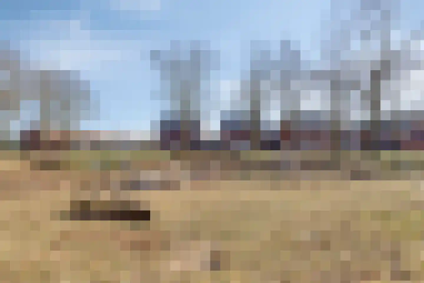 Roggestraat 13 Linne thumbnail 43