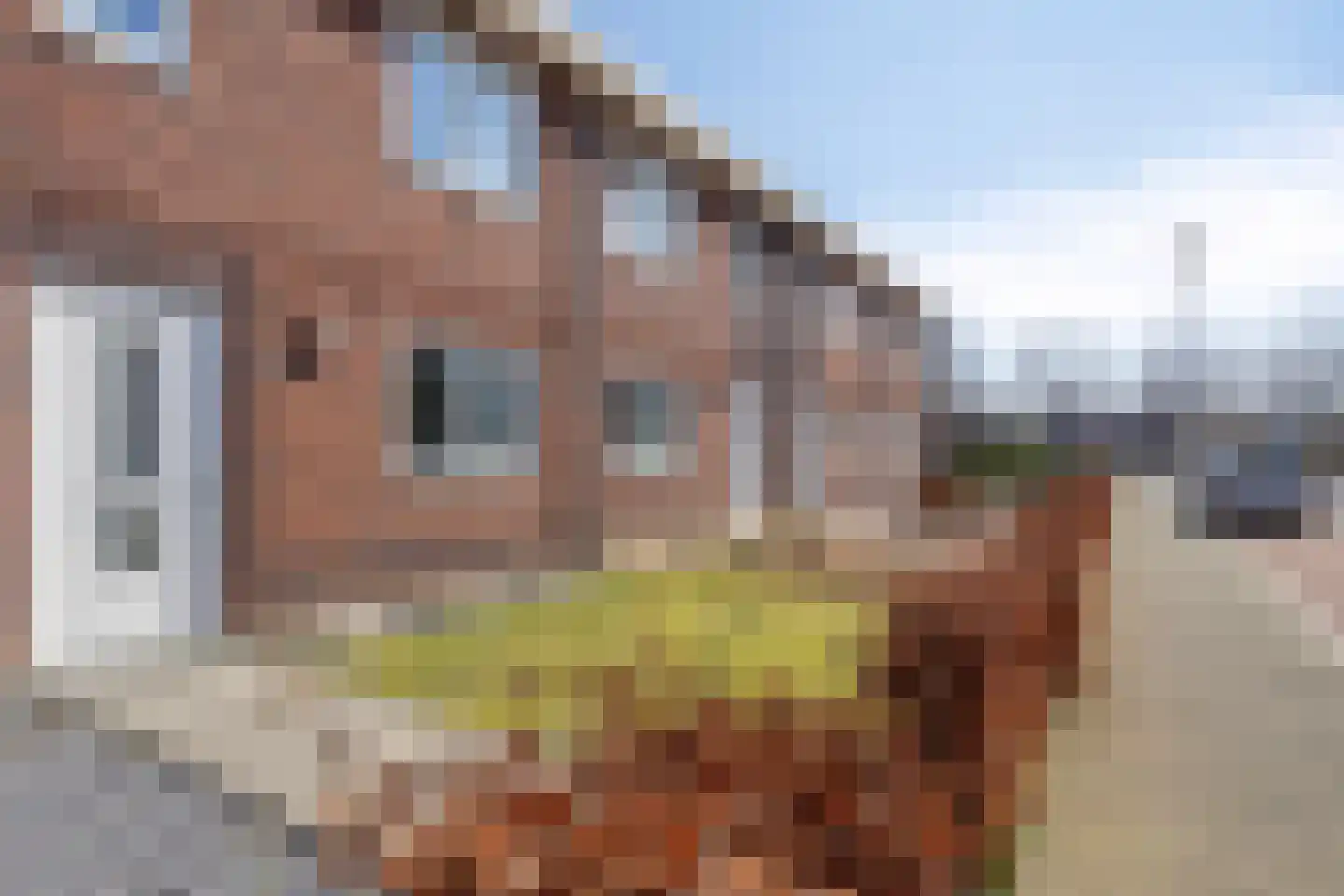 Roggestraat 13 Linne thumbnail 7