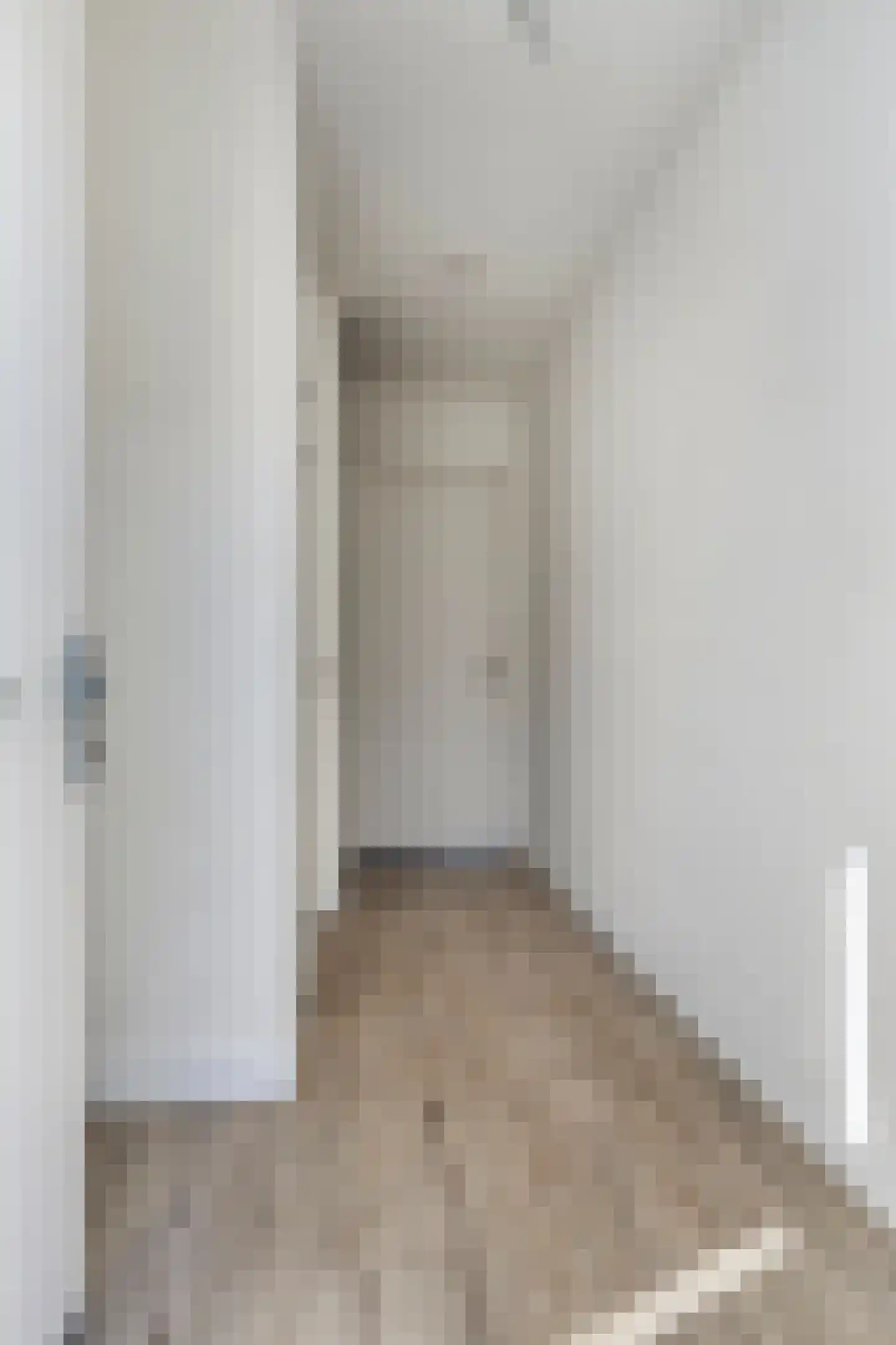 Roggestraat 13 Linne thumbnail 8