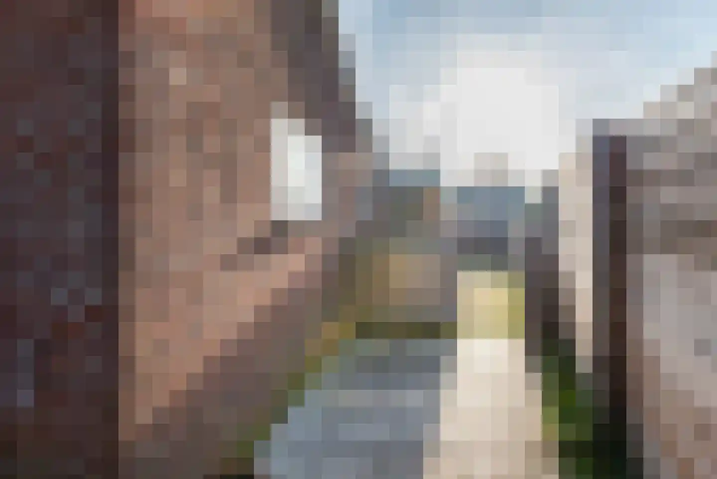 Roggestraat 16 A Ulft thumbnail 41