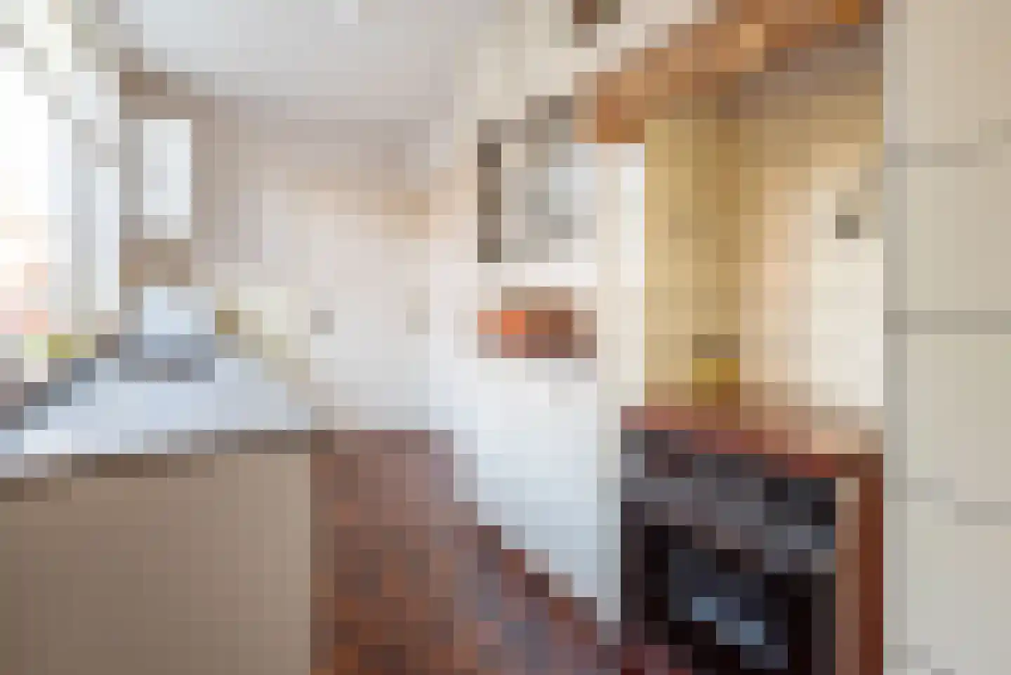 Roggestraat 16 A Ulft thumbnail 9