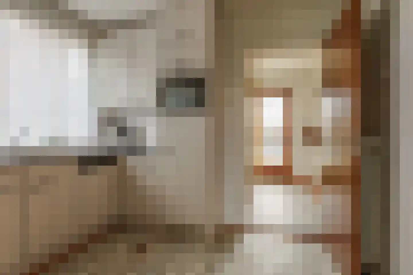 Roggestraat 18 Halle thumbnail 18
