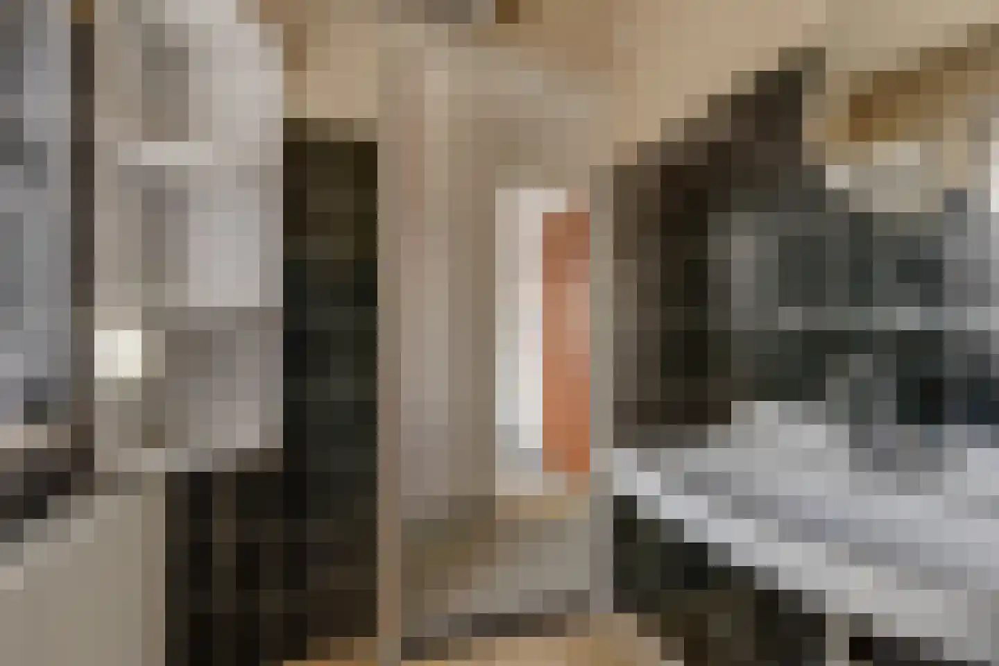 Roggestraat 18 Halle thumbnail 28