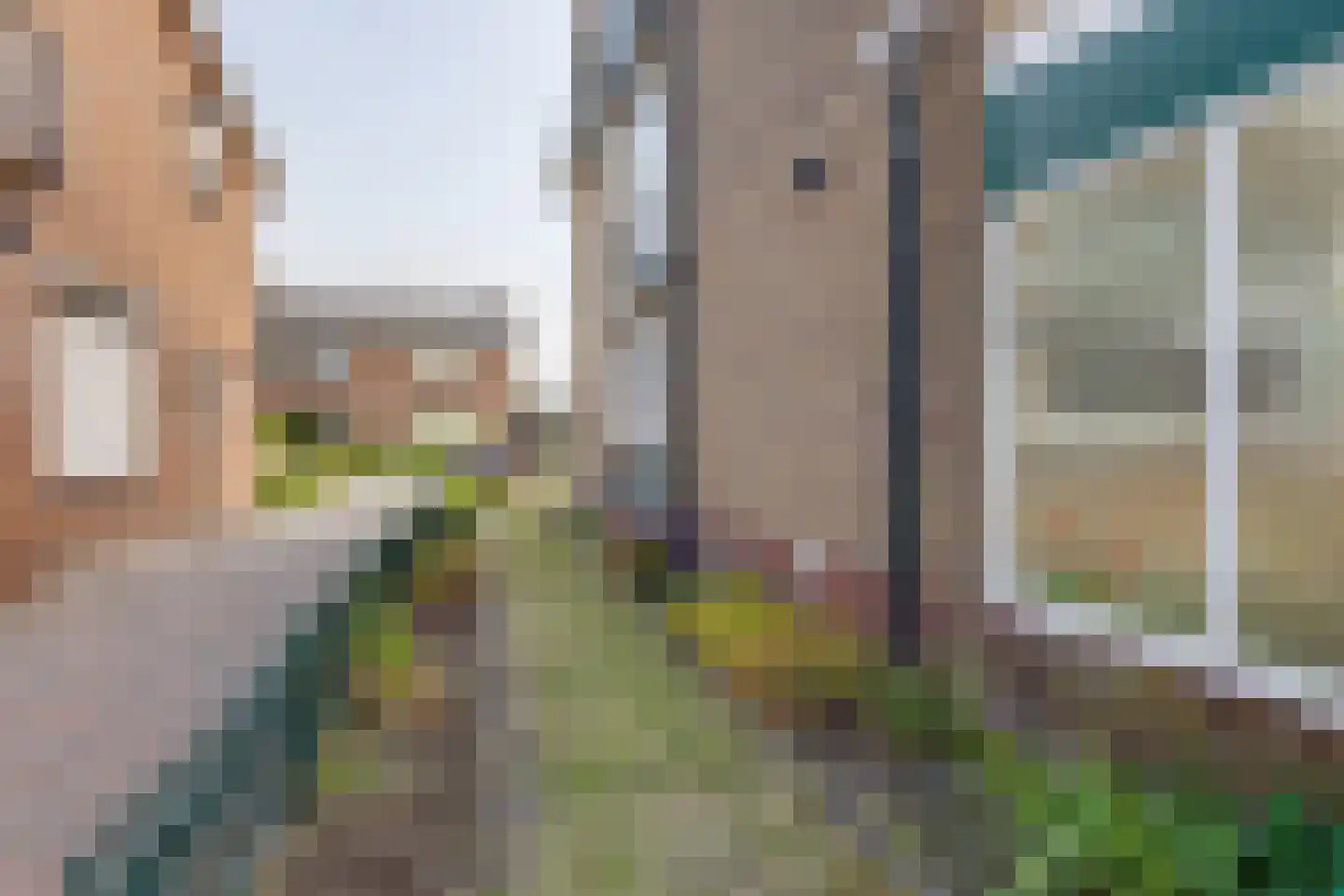 Roggestraat 18 Halle thumbnail 41