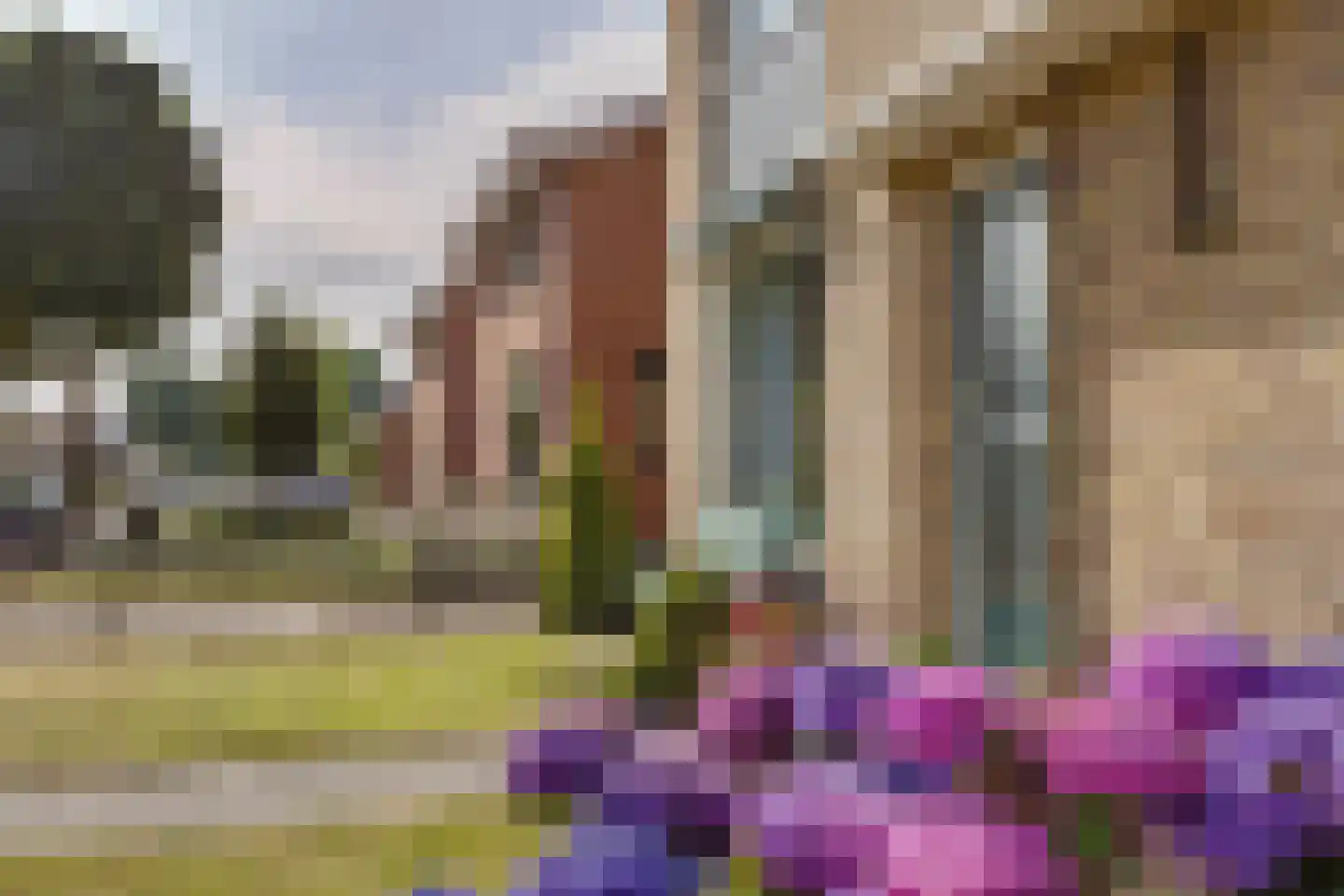 Roggestraat 18 Halle thumbnail 8