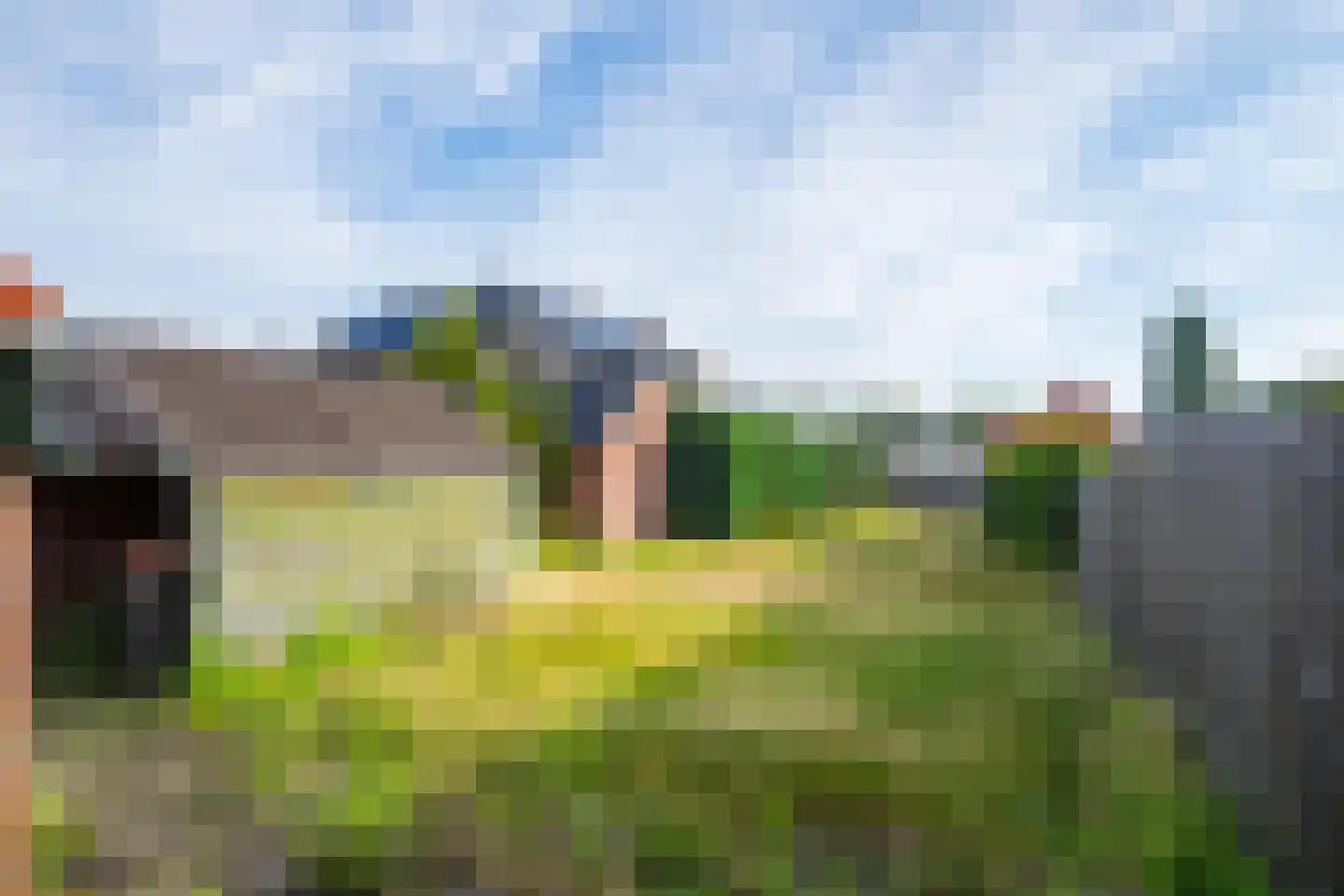 Roggestraat 19 Halle thumbnail 31