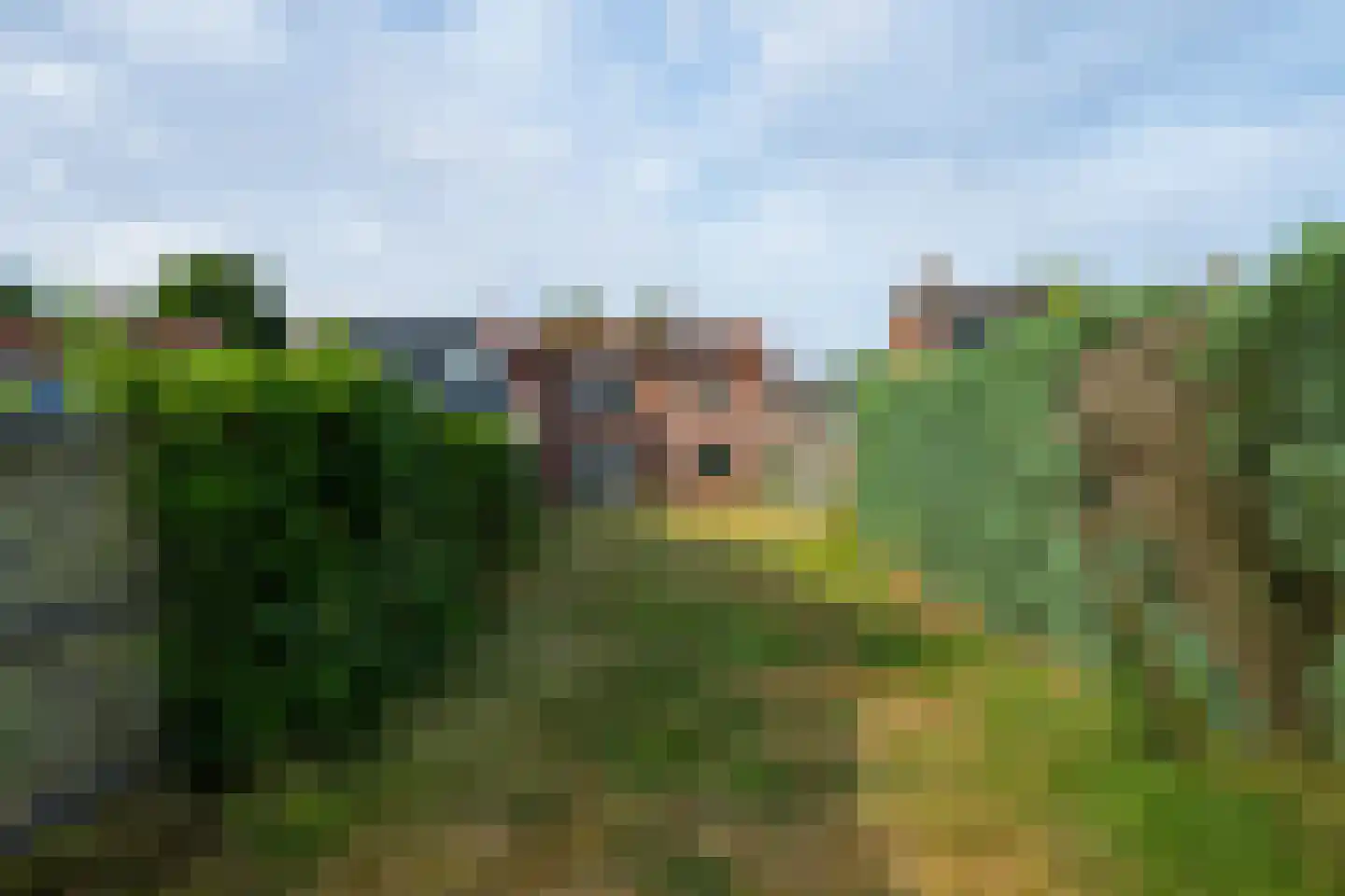 Roggestraat 19 Halle thumbnail 34