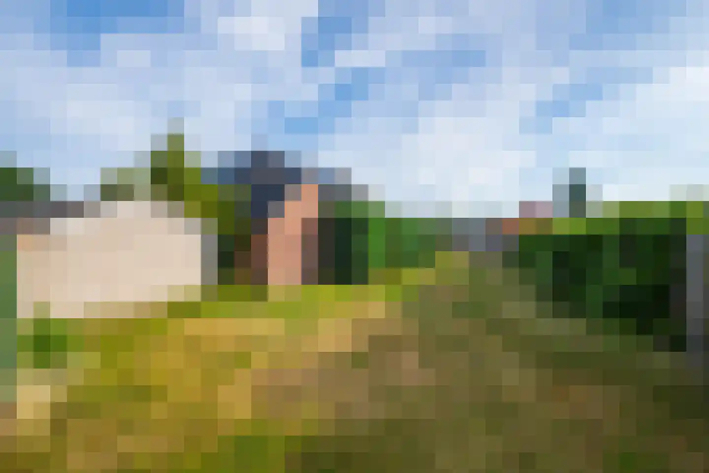 Roggestraat 19 Halle thumbnail 35