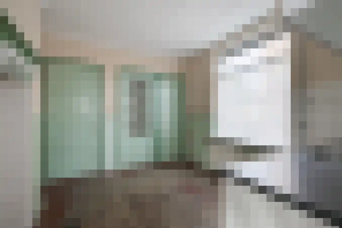 Roggestraat 19 Halle thumbnail 9