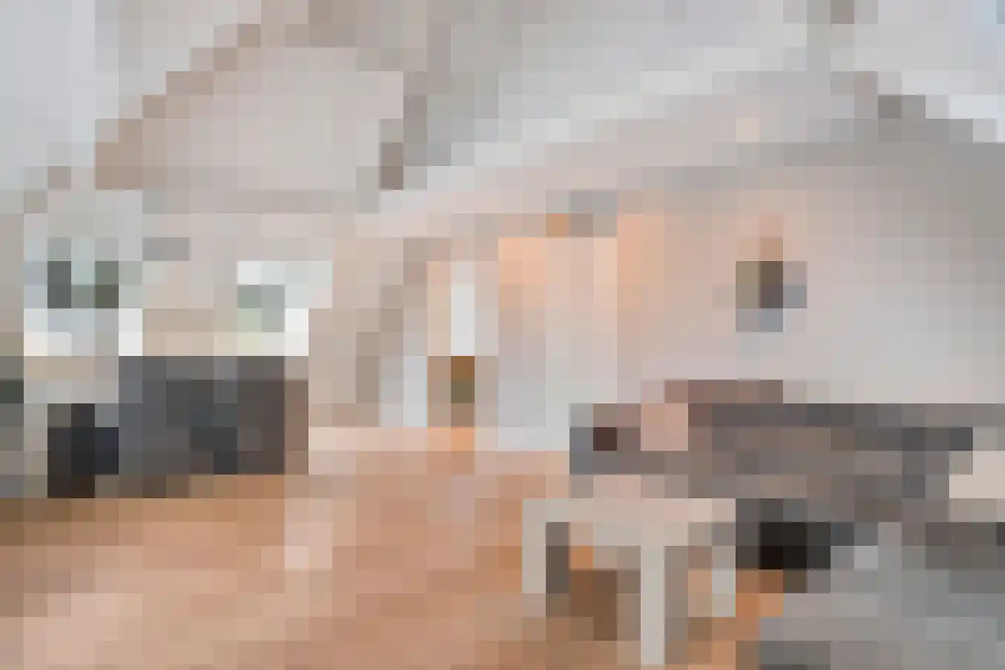 Roggestraat 2 Den Ham thumbnail 12