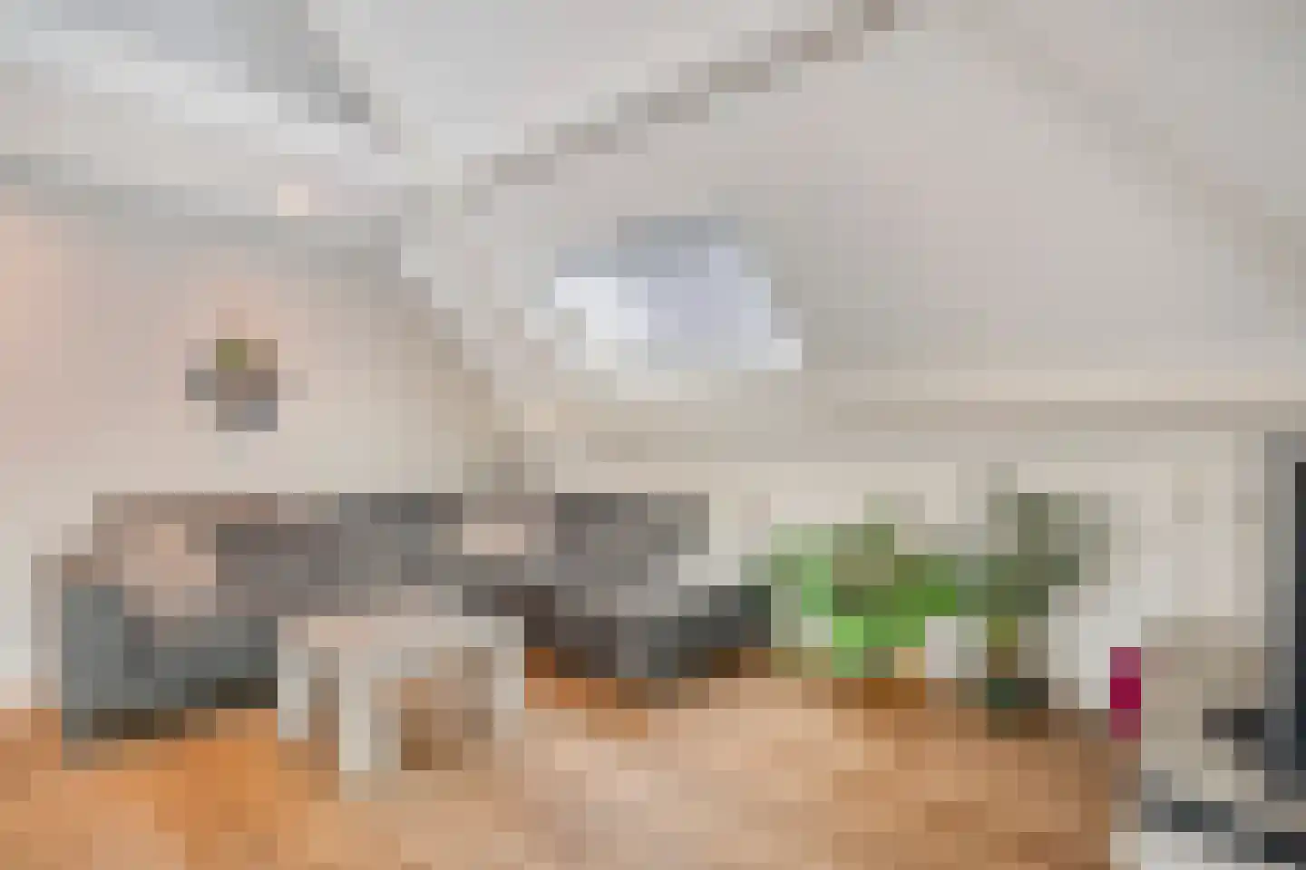Roggestraat 2 Den Ham thumbnail 9