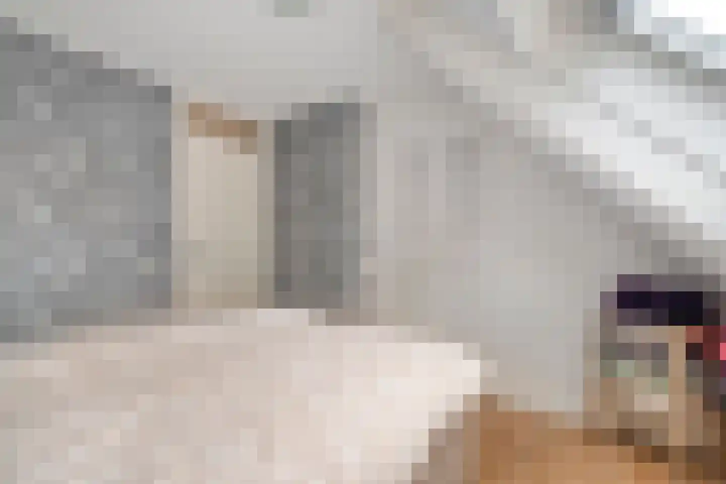 Roggestraat 2 Den Ham thumbnail 21