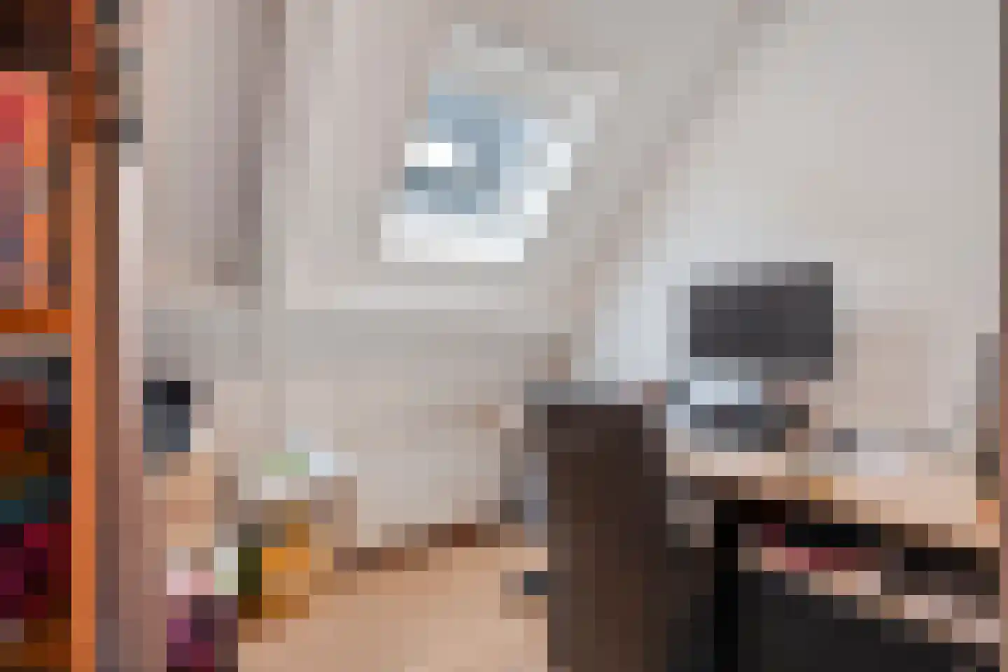 Roggestraat 2 Den Ham thumbnail 22