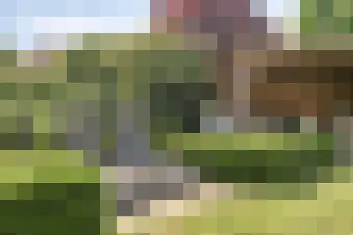 Roggestraat 2 Den Ham thumbnail 31
