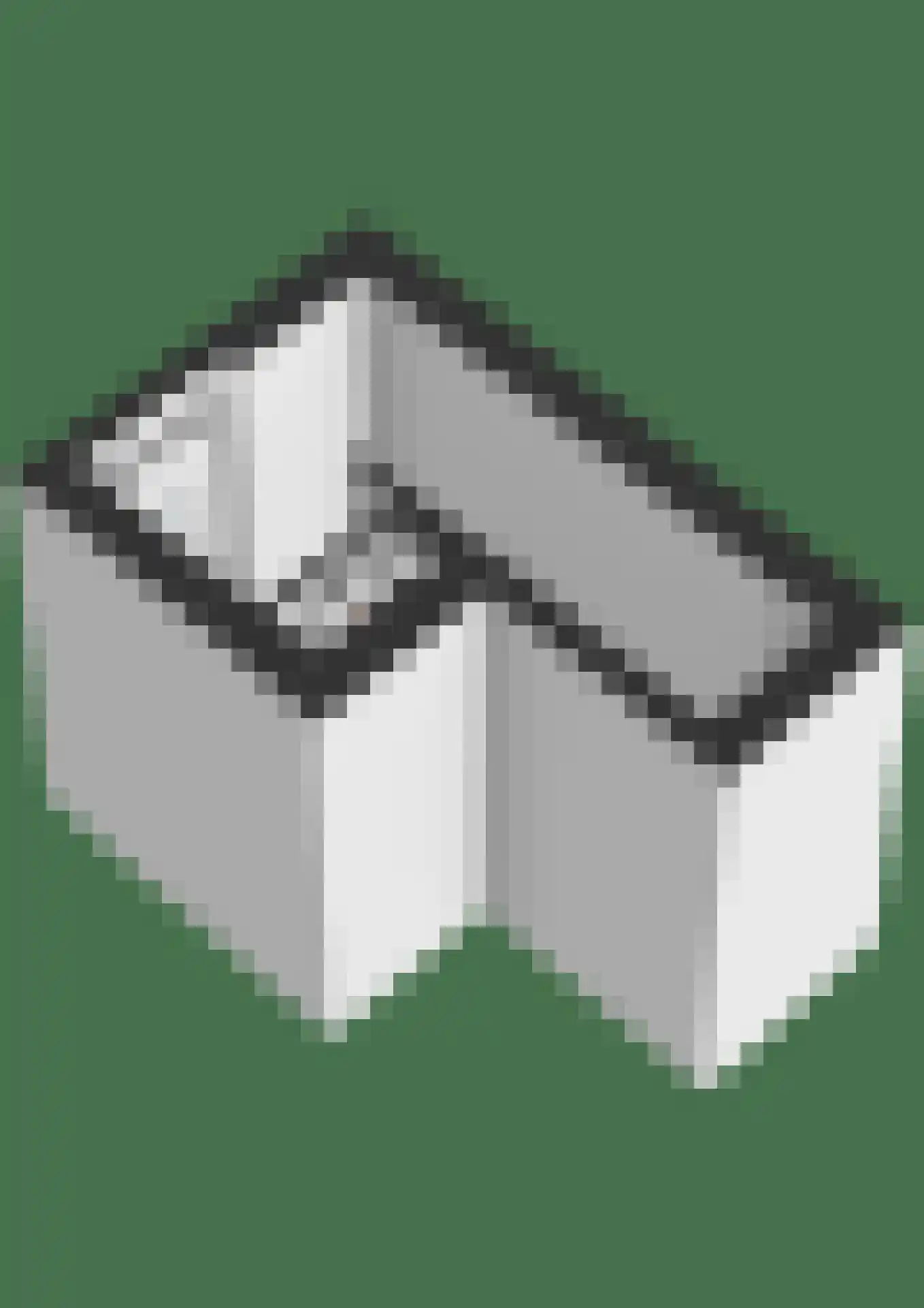 Roggestraat 2 Den Ham thumbnail 35
