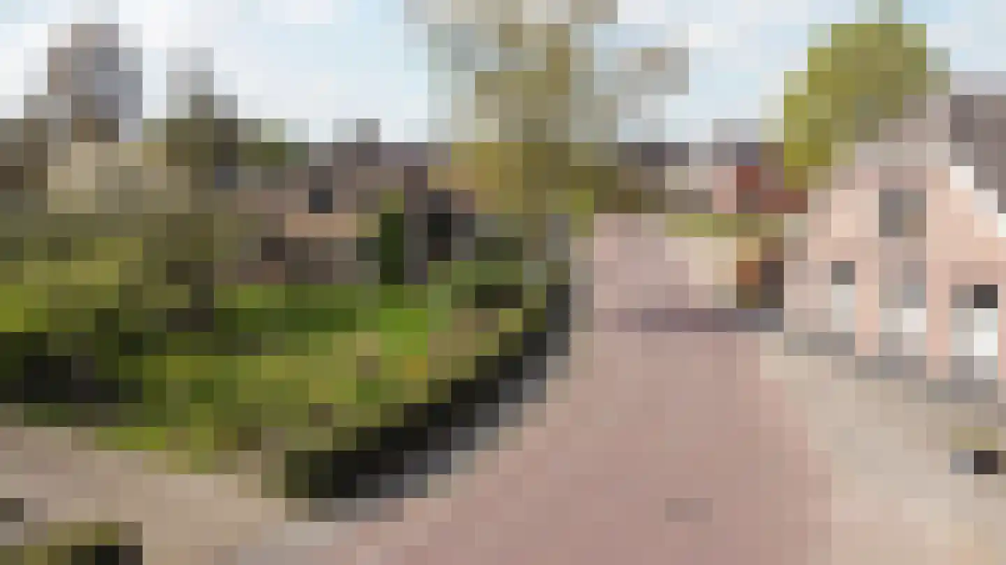 Roggestraat 2 Den Ham thumbnail 4