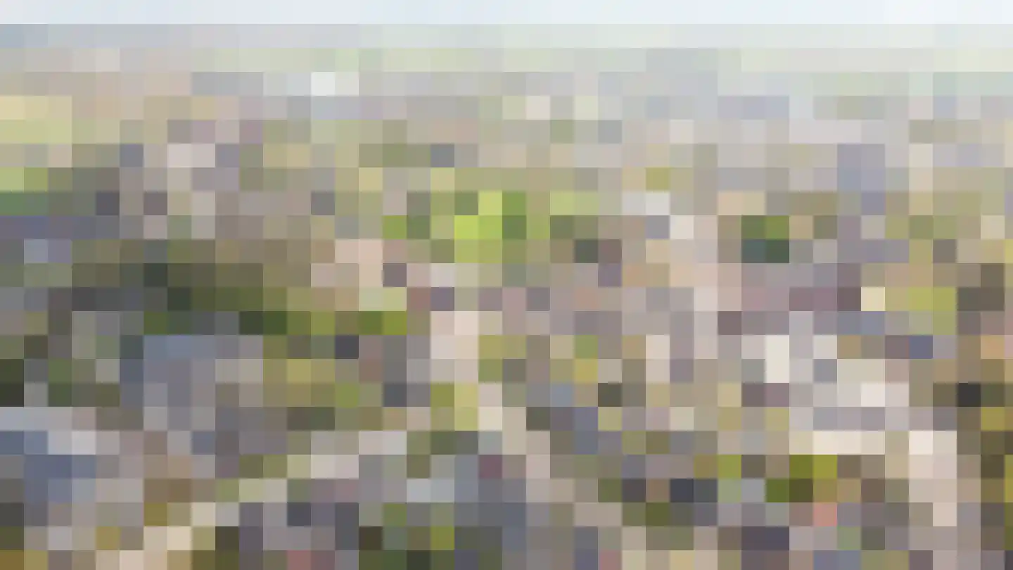 Roggestraat 2 Den Ham thumbnail 5